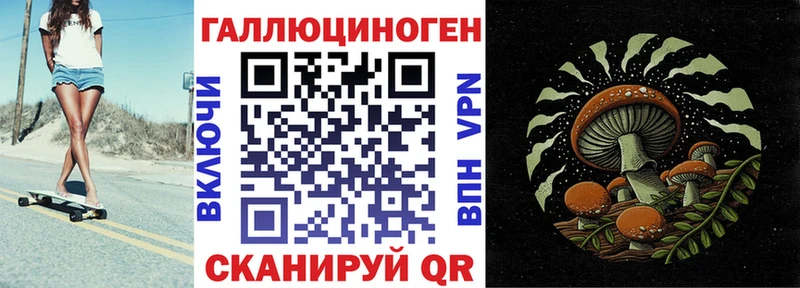 Псилоцибиновые грибы GOLDEN TEACHER Дно